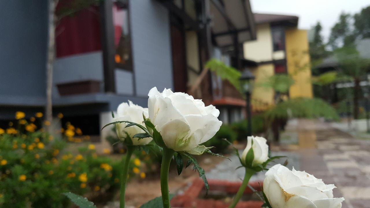Casa Loma Cameron Highlands Villa Exterior photo