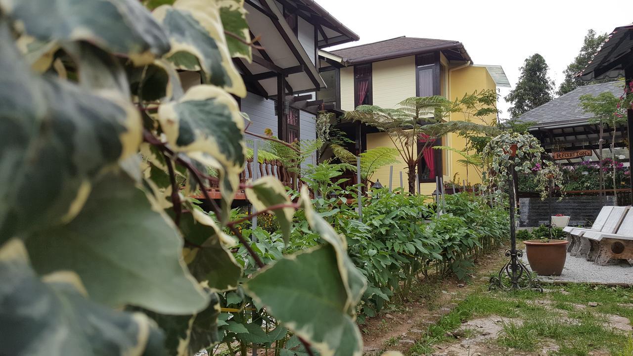 Casa Loma Cameron Highlands Villa Exterior photo